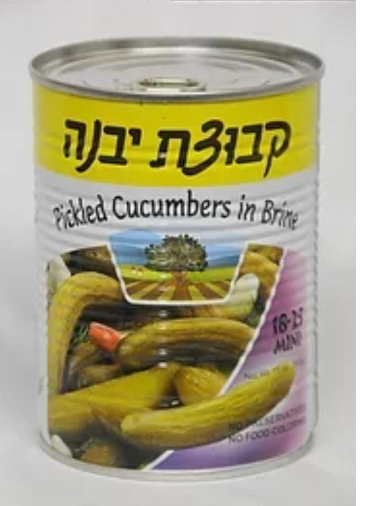 YAVNE Pickled Cucumbers In Brine (Mini)