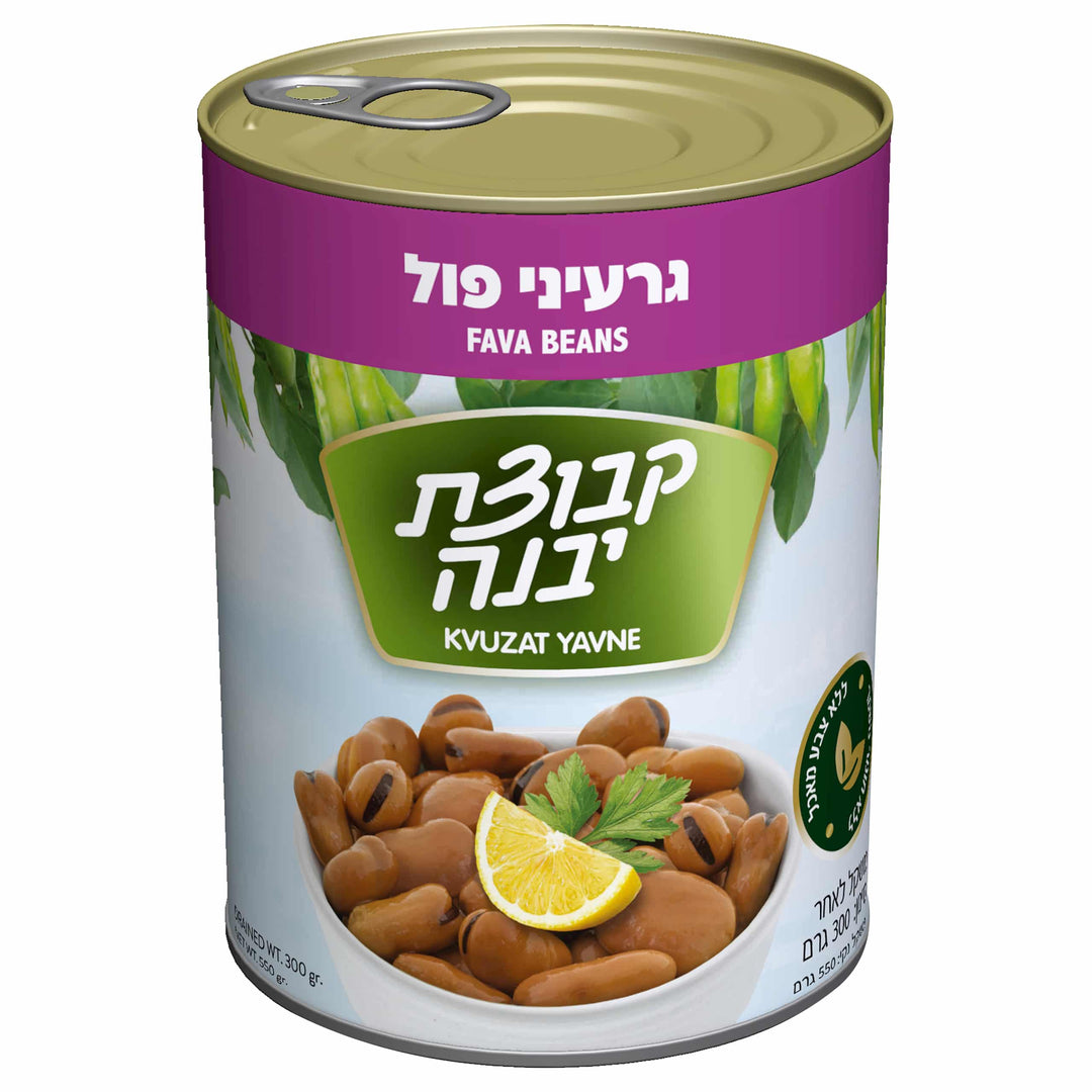 Kvuzat Yavne Fava Beans