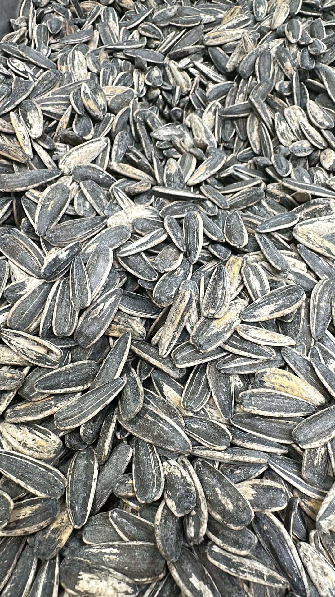 Sunflower Seeds - Half Salted