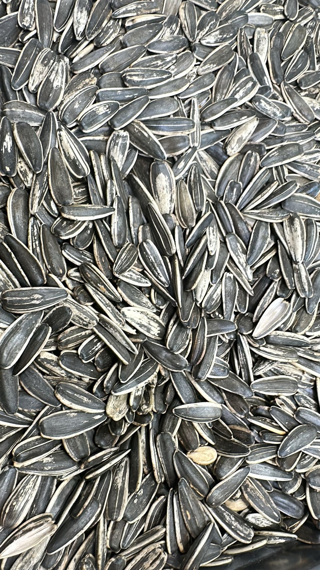 Sunflower Seeds - No Salt