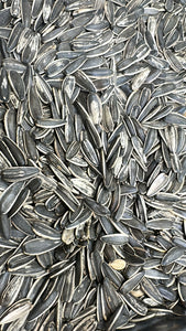 Sunflower Seeds - No Salt